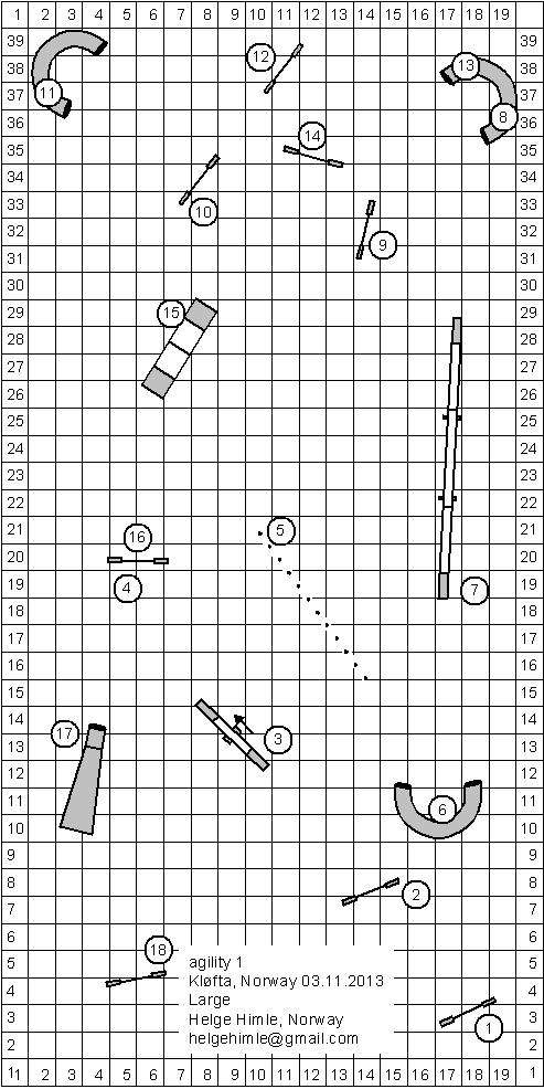 agility 1 large klofta,norway 03112013