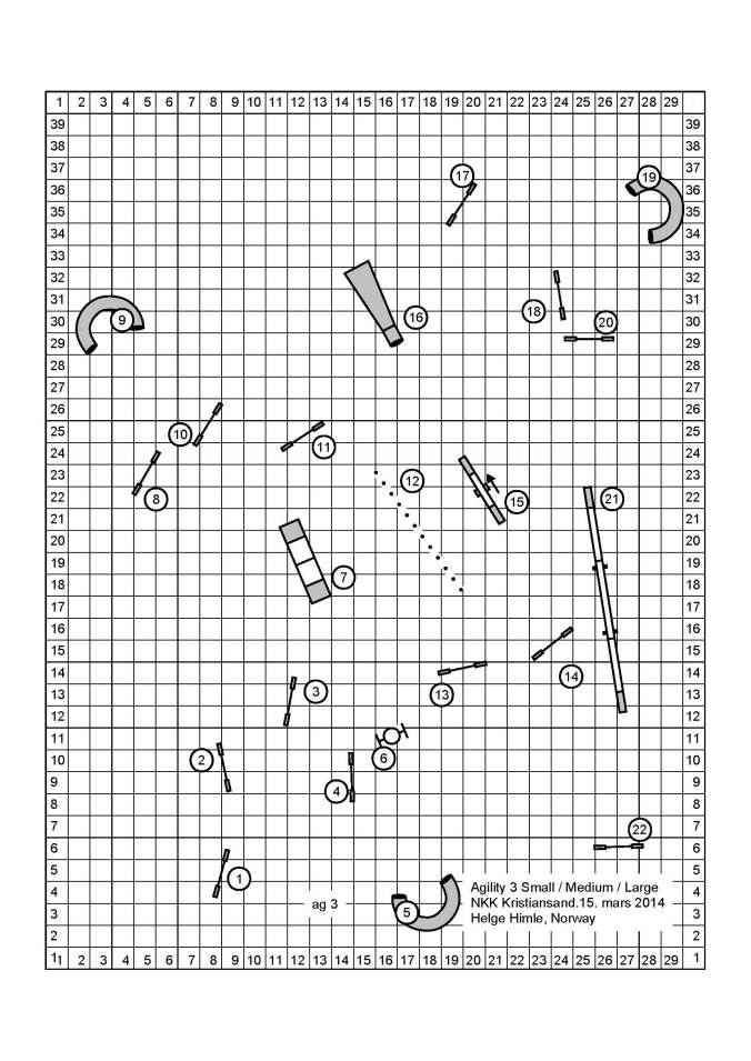 agility 3 Small Medium Large Kristiansand 15 mars 2014